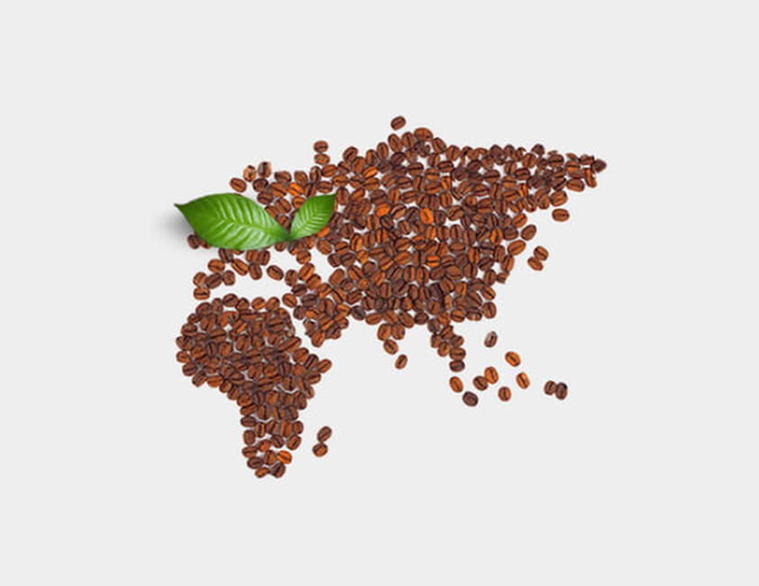  A chegada à Europa }