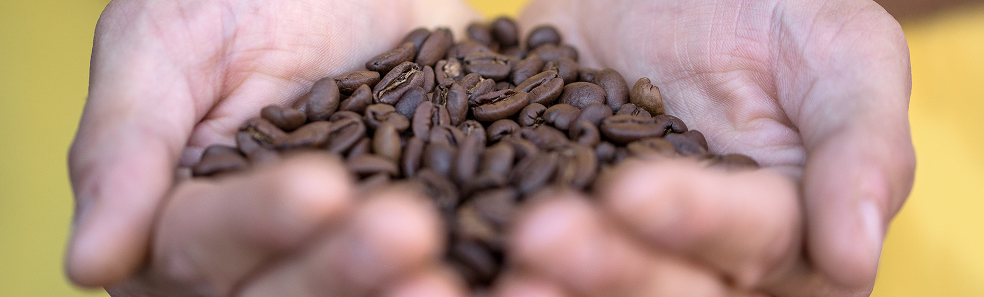   DELTA Q   Atrás de cada momento Delta Q, há uma longa história... 